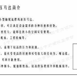半岛电竞游戏（中国）有限公司后油口系列马达