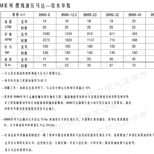 半岛电竞游戏（中国）有限公司后油口系列马达