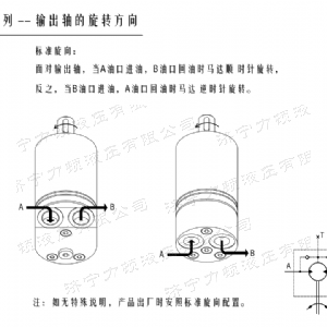 半岛电竞游戏（中国）有限公司后油口系列马达