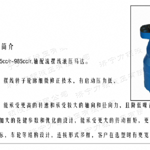 BMH系列并列油口半岛电竞游戏（中国）有限公司马达