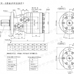 BMH系列交错油口半岛电竞游戏（中国）有限公司马达